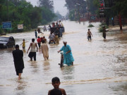 بارش سے ہلاکتیں حفاظتی اقدامات کیے جائیں