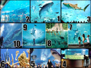 شیشے میں ہیں بند سمندر