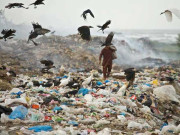 کیا کراچی کچرے سے پاک ہوگیا۔۔۔ ویڈیو بلاگ