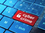 سائبر کرائم پر قانون کا بل منظور