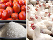 مرغی پیاز کےلیے ٹماٹرسستے ہونے سے افراط زر 009 فیصد کم