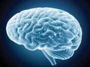 مصنوعی ذہانت  اب الزائمرکوجلد پکڑنے میں مدد ملے گی