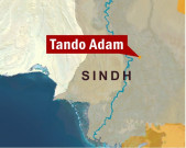 صدرزرداری کی مفاہمتی پالیسی سے مخالفین بوکھلاہٹ کا شکارہیں