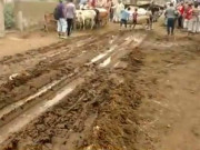 ایشیاء کی سب سے بڑی مویشی منڈی کی حالت زار ویڈیو بلاگ