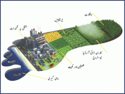 انسان نے سال بھر کے قدرتی وسائل صرف 7 ماہ میں خرچ کردیئے رپورٹ
