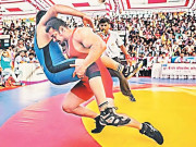 سلمان کی ’’سلطان‘‘ نے دنیا بھرمیں 570 کروڑکمالیے