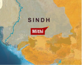 پیپلز پارٹی بلدیاتی نظام سے عوام کی توجہ ہٹانا چاہتی ہے