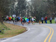 مینز میراتھن ریس میں آوارہ کتا بھی  اردن کے ایتھلیٹ سے آگے نکل گیا