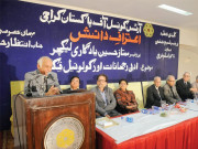 ممتاز حسین بیک وقت نظریے اور جمالیات کی بات کرتے تھے 