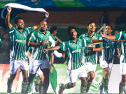 قومی کھیل کے سنہری دورکیلئے ہنگامی اقدامات ناگزیر