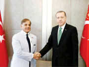 استنبول میں شہباز شریف کی ترک صدر وزیراعظم سرمایہ کاروں سے ملاقاتیں