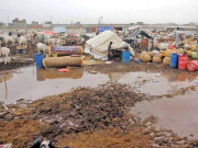 کراچی مویشی منڈی بھی طبقاتی تقسیم کا شکار ویڈیو بلاگ