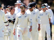 کیویز کا دل ہوم نائٹ ٹیسٹ کے لیے مچلنے لگا