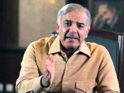 پاکستان کے خلاف زہر اگلنے پر الطاف حسین کو سخت ترین سزا ملنی چاہیے شہبازشریف