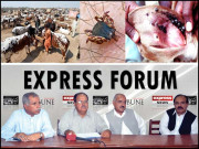 کانگو جان لیوا وائرس ۔۔۔ تدارک کے لیے احتیاطی تدابیر ناگزیر ہیں