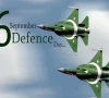 یوم دفاع پاکستان تاریخ کا روشن ترین دن ہے، مسلم لیگ ن سعودی عرب
