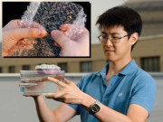 پانی ابالنے والا اسفنج تیار