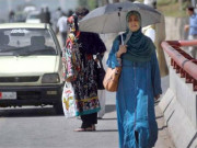 کراچی اور دیگر بڑے شہروں میں شجرکاری گرمی کی لہر روک سکتی ہے