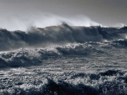 سمندرکو فیکٹریوں کے فضلے سے بچانے کیلیے منصوبہ تیار