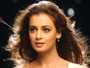 فلموں کے ساتھ کمرشلز بھی کرونگی بالی وڈ میں شناخت بنانے کیلئے کوشاں ہوں دیا مرزا