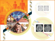 کرسپر انسان جان دارانواع کی جینیات بدل دینے پرقادر