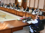 وفاقی کابینہ نے بھارت کا سرجیکل اسٹرائیک کا دعویٰ مسترد کردیا