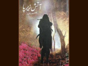 مجموعہ ’آتشِ زیر پا‘ پر سیر حاصل گفتگو