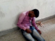 بھارت میں گائے کی تصویر واٹس ایپ کرنا بھی جرم پولیس نے مسلمان نوجوان مار ڈالا