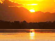 تفہیم المسائل 