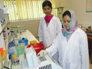 دس سالوں میں پاکستانی اسکالرز کے بین الاقوامی ریسرچ پیپرز میں 4 گنا اضافہ