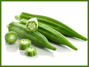 بھنڈی غذا ہی نہیں بلکہ خطرناک امراض سے بچاؤ کا قدرتی ذریعہ بھی ہے