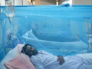 سندھ بھر میں ملیریا، ڈینگی کے کیسز میں اضافہ