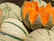 اگر آپ روزانہ کدو کھائیں تو بلڈ شوگر پر اسکے کیا اثرات مرتب ہونگے؟