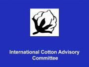 آئی سی اے سی کا 75 واں اجلاس 30 اکتوبر کو اسلام آباد میں ہوگا