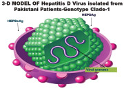 پاکستان میں الگ قسم کا ہیپاٹائٹس وائرس جامعہ کراچی کی تحقیق 
