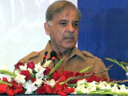 پاکستان کے باشعور عوام نے دھرنے والوں کا دھڑن تختہ کردیا ہےشہبازشریف