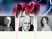 انگریزی شاعری میں ماہِ نومبر کا استعارہ