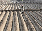 کھاد ساز اداروں کیلیے سال 2012 بدترین ثابت ہوا 