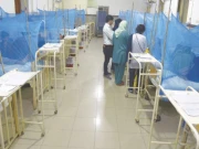 راولپنڈی میں اب تک ڈینگی کے 85 کیسز رپورٹ