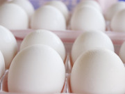 انڈے کی قیمت13052 روپے فی درجن پر جاپہنچی