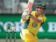 ’’ون مین آرمی‘‘ وارنر نے کیوی بولنگ کو برباد کردیا