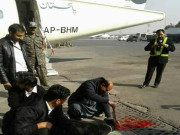 کالے بکروں کی نہیں کالی بھیڑوں کی قربانی دیجیے