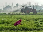 پنجاب حکومت کا کاشتکاروں کی آسانی کیلئے ایگریکلچر لیب آن ویل قائم کرنے کا فیصلہ