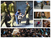 2016ء کی کرنیں کشمیری چناروں پر