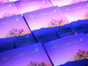 بک ریویو ’’محبت راستے میں ہے‘‘