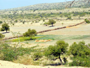 تھر میں پاکستان کا پہلا انٹرنیٹ ویلیج قائم کرنے کا اعلان