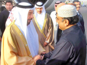 متحدہ عرب امارات کے صدر نجی دورے پرچولستان پہنچ گئے 