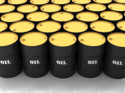 خوردنی تیل انڈسٹری میں 50 ارب روپے کی سرمایہ کاری متوقع