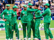 کوئی ذرا ان کو چلو بھرپانی تو لا دے