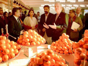 کینو کی ایکسپورٹ 33 لاکھ ٹن سے بڑھانا چاہتے ہیں سکندر  بوسن